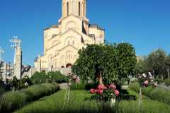 IMG-20190605-WA0142