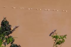 IMG-20180429-WA0059